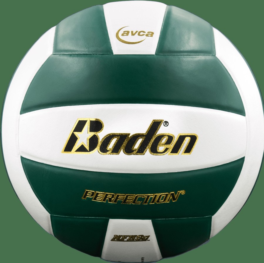 Ball Baden Sports | Indoor Bundle: Heavy Setter + Perfection Leather Ball